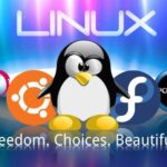 10 Razones Por Las Que Linux Es La Mejor Opción Para Tu Próximo Sistema Operativo