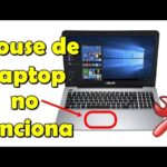 Consejos para arreglar el mouse de tu laptop.