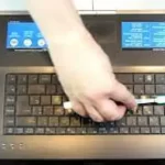 Consejos Para Eliminar Hormigas de Tu Laptop.