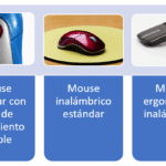 Los Diferentes Tipos De Mouse Que Debes Conocer.