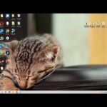 Trucos para Instalar un Gato en una Laptop